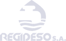 logo regideso