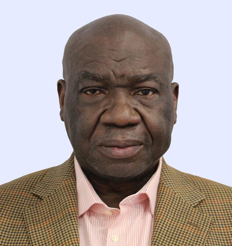 Photo de Luc MEMELIWANDO NGOLU